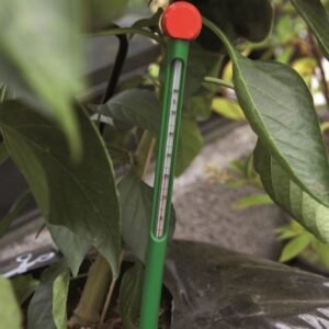 Bodenthermometer Juliana - Gewächshauszubehör für präzise Temperaturmessung